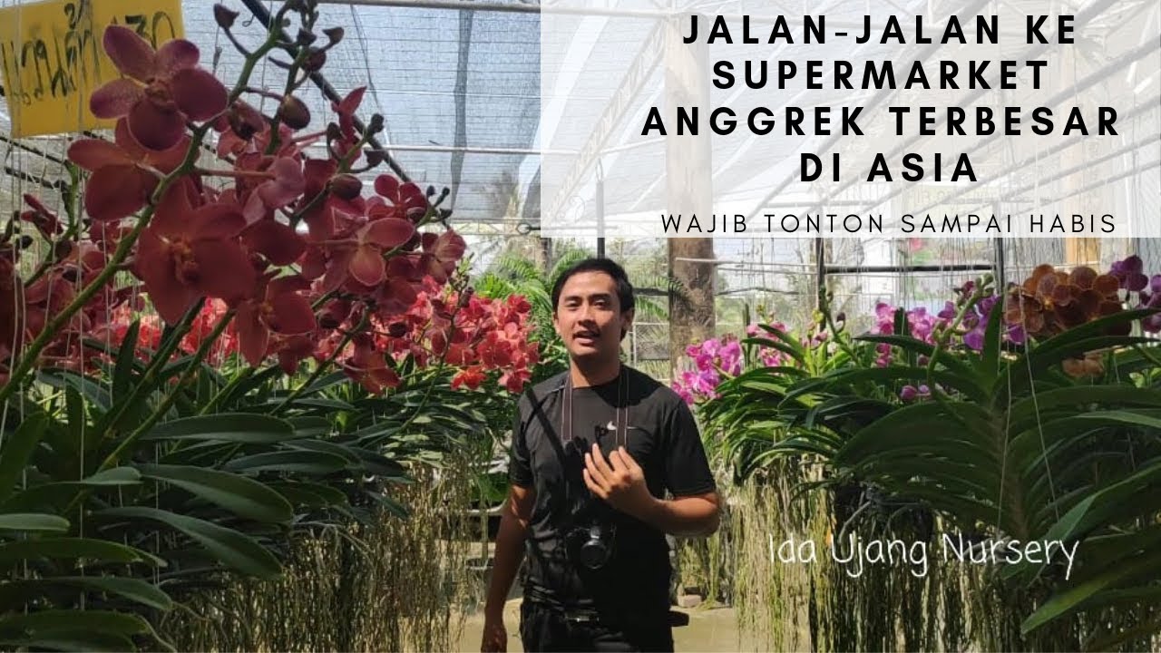 WISATA BELANJA DI SUPERMARKET ANGGREK TERBESAR DI BANGKOK - YouTube