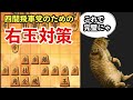 四間飛車党必見！右玉を咎める最強の指し方