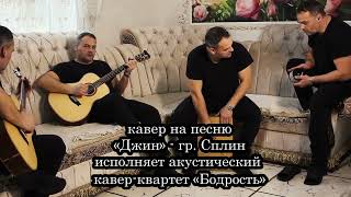 "Сплин" - "Джин" - кавер. Исполняет акустический кавер-квартет «Бодрость» 😊