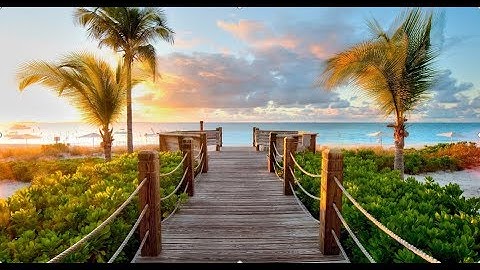 HAP software tutorial in English cooling loads, Wizard menu, Systems, Plants, and Energy modeling