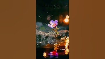 سورة العنكبوت ٦٢… وعد الله يهز القلب | تلاوة مؤثرة