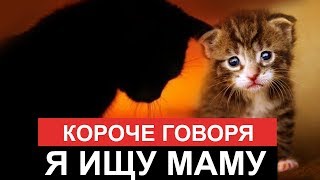 КОРОЧЕ ГОВОРЯ, Я ИЩУ МАМУ [От первого лица] КОРОЧЕ ГОВОРЯ, ИСТОРИЯ ОДНОЙ ЖИЗНИ