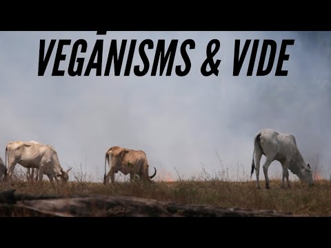 Video: Kā Dzīvnieki Ietekmē Cilvēku