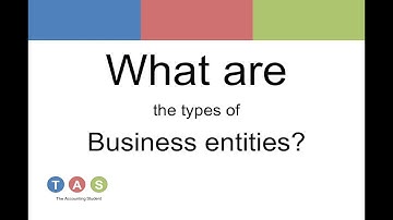 What are the types of Business entities?