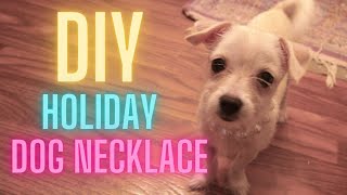 How to make a custom stretch necklace for your dog | DecorSauce