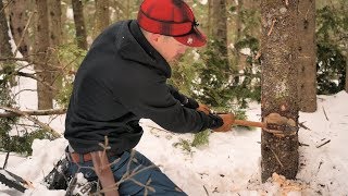 Building A FORT IN THE WOODS