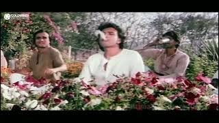Hari Hari Bhangiya Ki Hari Hari Booti | Kishore Kumar | Mithun Chakraborty Songs