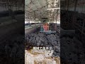 【牛のベッド】寝床変えってこんな感じです💩