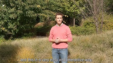 Cumulio Pitch Video #SaaStock18