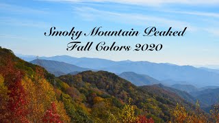 U.S. 441 Newfound Gap Road | October 2020 | The Great Smoky Mountains National Park