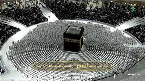 صلاة الفجر من رحاب المسجد الحرام  الشّيخ بدر التركي ماتيسر من سورة البقرة يوم الثلاثاء  ٦ محرم ١٤٤٧
