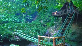 TIMELAPSE: 333 Hours Survive and build shelter in the forest. Bushcraft alone in the rainforest.