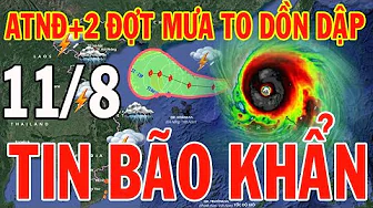 Dự báo thời tiết hôm nay và ngày mai 11/8/2024 | Dự báo thời tiết trong 3 ngày tới thumbnail