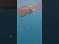 МАНТА ОГРОМНАЯ|manta bay, NUSA PENIDA|BALI #manta #bali #бали #нусапенида #nusapenida #индонезия