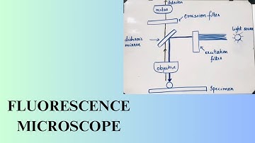 Fluorescence Microscope- Principle, Components,Working mechanism, Applications