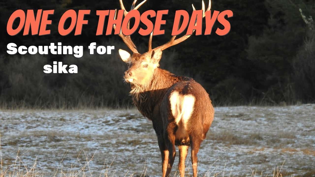 Один из тех дней. Скаутинг Sika 2026.