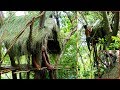 Primitive Technology, Make a thatched roof huts on the tree