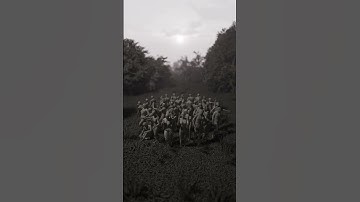 Entroforming 4 4K 1dk