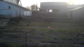 VID20130513_193058_831