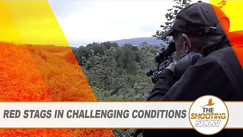 The Shooting Show - Stalking reds with Beretta’s BRX1 PLUS testing the Bergara BMR on rabbits