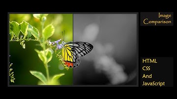 Image Comparison Slider Using HTML CSS and JavaScript | Image Comparison | ProgrammingTT