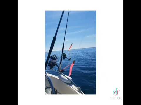 mare Adriatico pesca sportiva