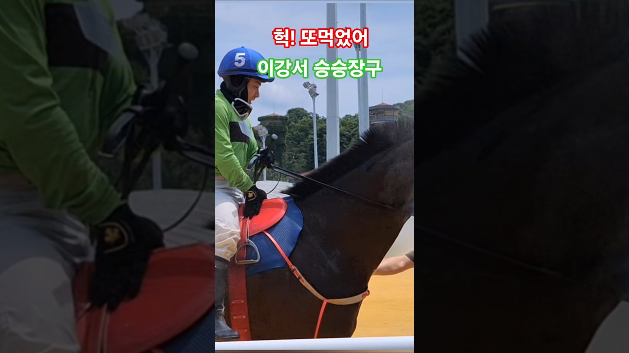 첫승은 울더니 이번에는 여유^^# 경마 #말 #달려라말 #shorts