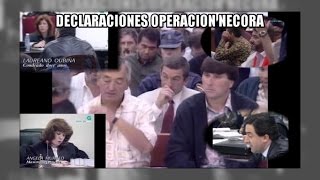 Declaraciones en el juicio de la 'Operación Nécora'- Aduanas (SVA)
