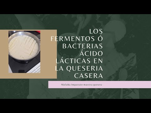 Los fermentos o bacterias ácido lácticas en la elaboración de quesos en casa.