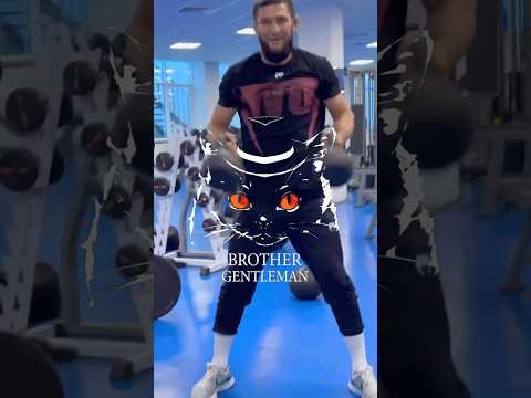 💪 😻подготовка Хамзата Чимаева к титульному поединку. #mma #ufc #кулачка #boxing #файтинг #popmma