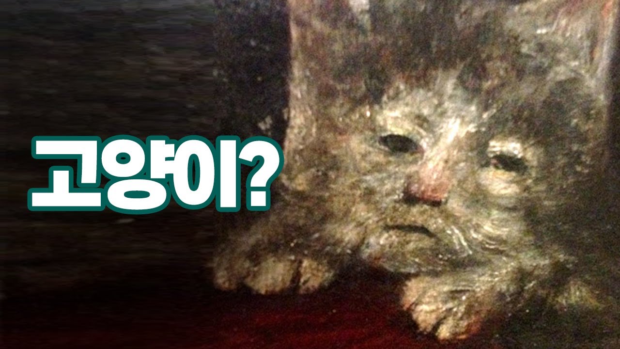 못생긴 중세 고양이 