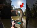 Top 5 most Dangerous Sea Creatures 😱#shorts