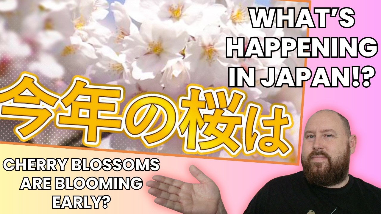 Learn Japanese by Reading the News - Early Blooming Cherry Blossoms?!