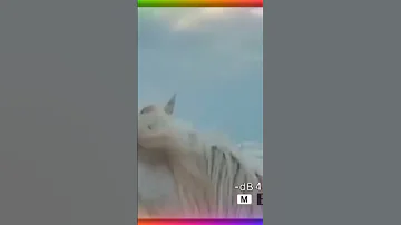 مبنتكلمش المطربة ذكرى 