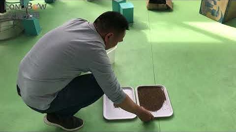 cumin seeds sorting video