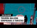Tiburón sorprende a bañistas en playa de Sonora