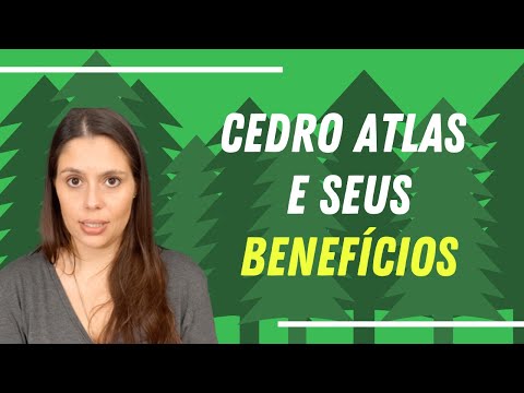 Vídeo: Cedro Atlas