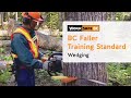 BC Faller Training Standard - Wedging (9 of 17)