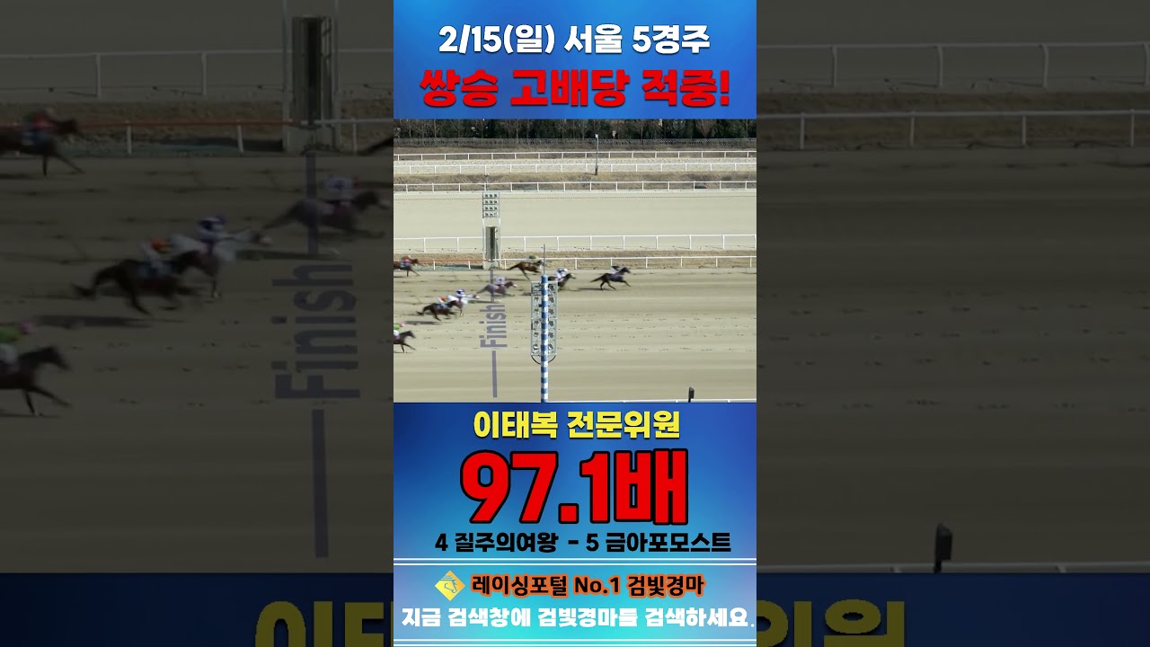[서울 경마] 2월 15일 일요 5경주 이태복 전문위원 쌍승 고배당 적중 #경마 #horse #한국마사회 #automobile #하이라이트 #riding #뉴스#게임 #korean