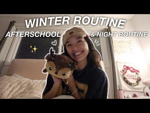 WINTER AFTERSCHOOL & NIGHT ROUTINE | Vlogmas Day 6!
