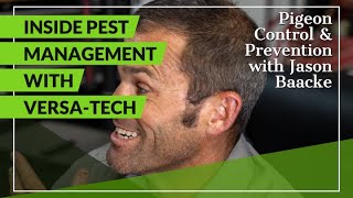 Cleaning Pigeon Droppings | Inside Pest Management Versa-Tech® LA County Bird Control