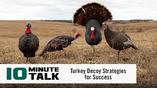 #10MinuteTalk - Turkey Decoy Strategies for Success