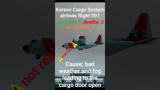 korean cargo system airlines flight 091 crash | not real | shorts fyp viral crash
