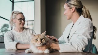 Veterinary Care & Aquamation