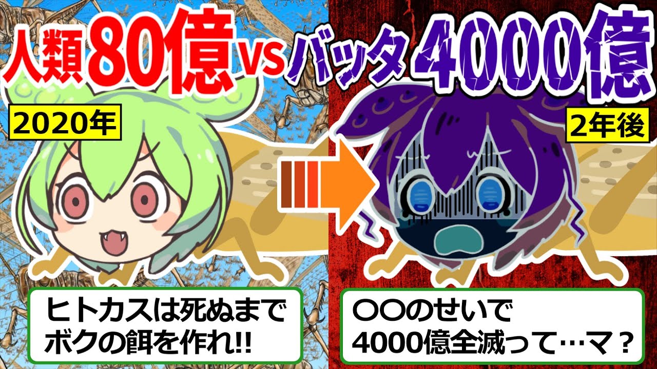 人間の作物を根こそぎ喰らう悪魔のバッタが調子に乗りすぎた結果www【ずんだもん ゆっくり解説 サバクトビバッタ 蝗害 ヒアリ スズメバチ】