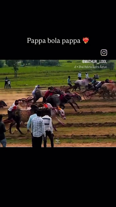 #mathur#bailgadasharyat  #bailgada 💀pappa bola pappa..