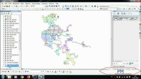 #Overlay: Polygon and Orthomosaic