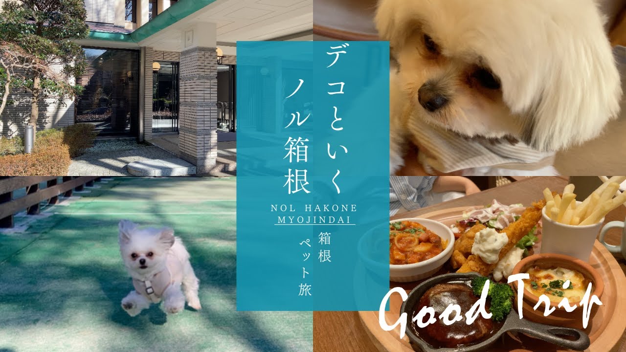 愛犬と箱根旅行検討の方必見2024年5月オープン間もないスパリゾート「nol hakone myojindai」ご紹介　【デコ物語】