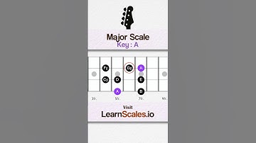 Learn Bass Scales for Beginners - A Major scale 🎸