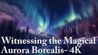 Witnessing the Magical Aurora Borealis